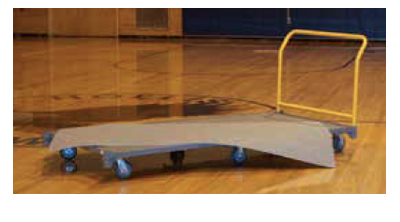 Pro Shield floor covering